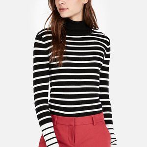 Express Striped Long Sleeve Turtleneck Sweater